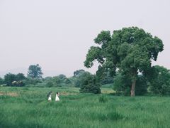 -良渚古城遗址公园