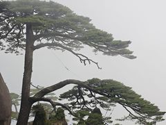 -巧手推拿中心(盲人推拿)