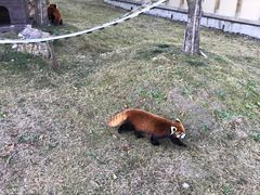 -南京汤山紫清湖生态旅游温泉度假区