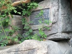 -洪沟崖张记炒鸡店(聚才路店)