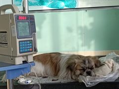 -美联众合动物医院(唯恩分院)