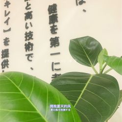 -花萤Hanako·轻奢美甲美睫