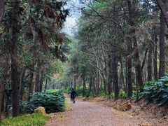 -虞山风景区