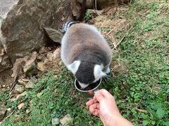 -无锡动物园·太湖欢乐园