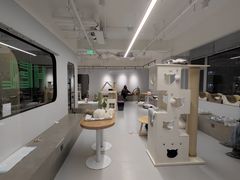 -Cappucimeow猫咪咖啡馆(韦伯时代店)