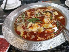 -古乐牛香·鲜牛肉牛杂火锅(高新店)