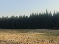 -汉长安城未央宫国家考古遗址公园