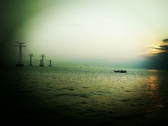 -宝安西湾红树林湿地公园