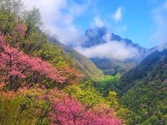 -老界岭旅游度假区