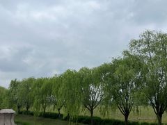 -嘉北郊野公园