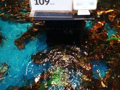 -盒马鲜生(宝地店)