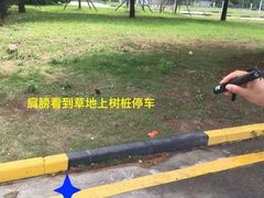 -胜华驾校·小猫学车(银都店)