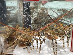 -万龙洲海鲜(大兴绿地缤纷城店)