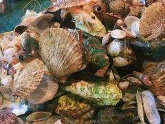 -大锅强·蒸海鲜青岛菜(吾悦广场店)