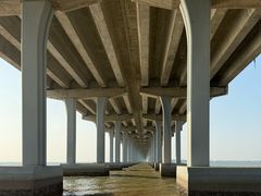 -宝安西湾红树林湿地公园