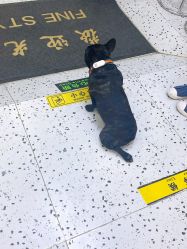 -FINE HAIR造型沙龙