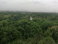 -梁鸿国家湿地公园