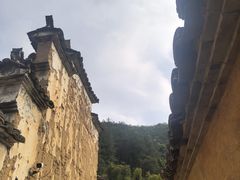 -杨家堂村