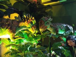 -恐龙探索乐园(磁器口店)