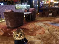 -昆明中心皇冠假日酒店