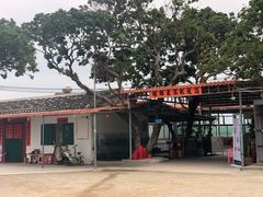 -蚝乡农庄(铁涌赤岸店)