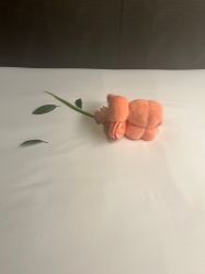 -VELEE·SPA高定疗愈会所