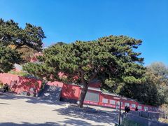 -妙峰山风景名胜区