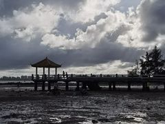 -东郊椰林