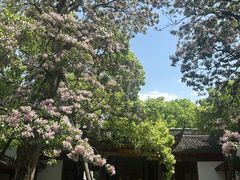 -吴山景区