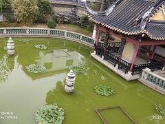 -碧江金楼