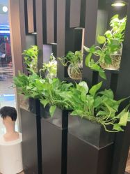 -史云逊养发护发