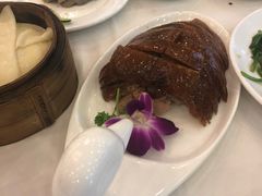 -九花山烤鸭店