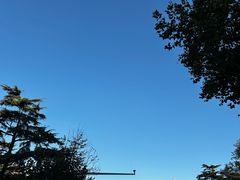 -华春餐馆(鱼山路店)