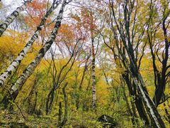 -叠溪松坪沟景区