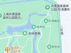 -上海共青森林公园