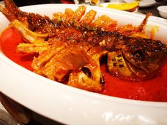 -阿五黄河大鲤鱼(英协路店)