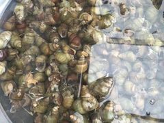 -乡乐园蟹庄·阳澄湖农家乐