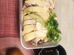 -九斤黄三黄鸡专卖店