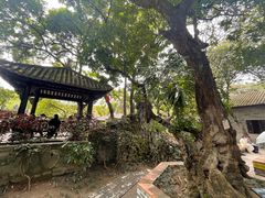 -顺峰山公园