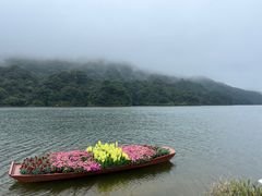 -广州市石门国家森林公园