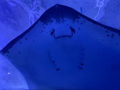 -多彩贵州城极地海洋世界