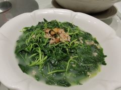 上汤苋菜-金满楼(天河中路店)