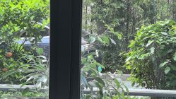 -宝生月子中心·私家园林式(龙华观澜店)