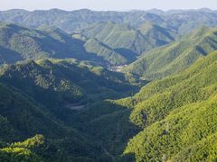 -四明山国家森林公园