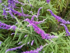 -苏州河梦清园环保主题公园