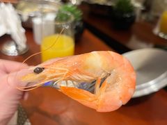 -源·咖啡自助餐厅·海鲜·烧烤·三文鱼(海口华彩洲际酒店)