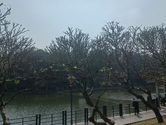 -鹿鸣酒家(越秀店)