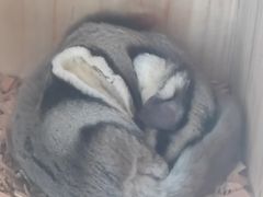 -昆明动物园
