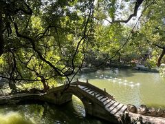 -绮园景区