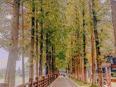-蜀绣公园